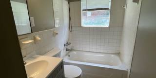 Renovated 3 Bedroom 1 Bath Home for Rent! Gallery 6