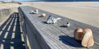 46 Illinois Avenue unit: Duplex Gallery 16