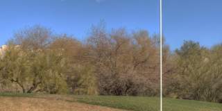 9562 E Chuckwagon Lane Gallery 34