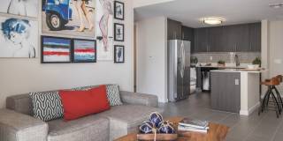 Vu New River Vu New River Gallery 47