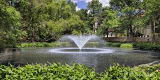 The Boulevard At Town Lake Gallery 22