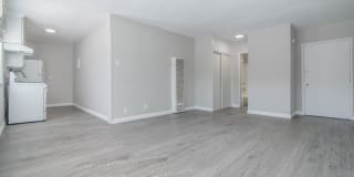 Twin Palms Gallery 12