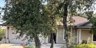 2046 MULBERRY CIR Gallery 1