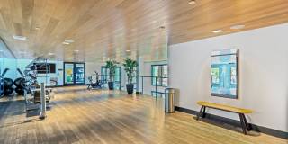 Array La Mesa Gallery 14