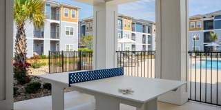 Hawthorne at Pine Forest Gallery 24