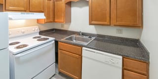 Aspen Village Gallery 12