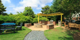 Highland Walk Gallery 25