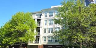 1645 INTERNATIONAL Drive Gallery 41