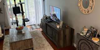 28 Shelburne Road Gallery 7