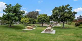 3341 Calle La Veta Gallery 46