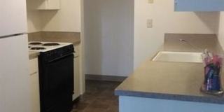 Linden Apartments Gallery 7