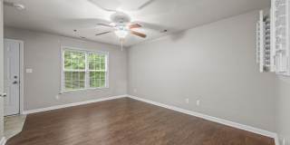 Welcome to Acorn Forest! Gallery 5