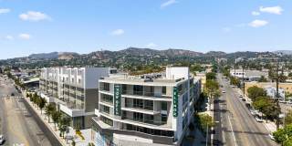 The Elinor Gallery 24