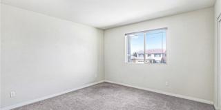 7719 Poppy Gallery 17