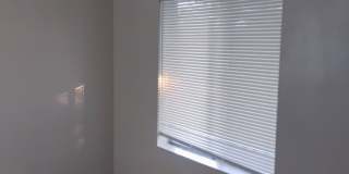 23285 Ca-243 Gallery 14