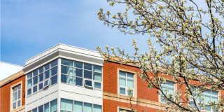 Halstead Burlington Gallery 31