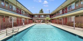 Twin Palms Gallery 2