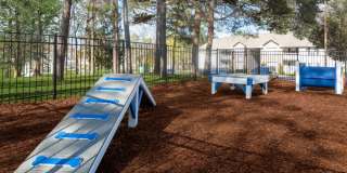 Springwood Park Gallery 12