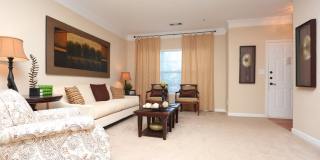 Columns at Club Drive Gallery 18