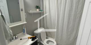 Really nice 2 bed in Brighton... June Move in!! Gallery 6
