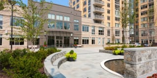 Harrison at Reston Town Center Gallery 3