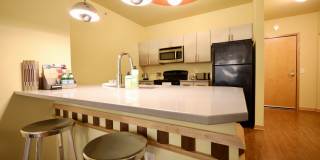 Settlement Place Gallery 285