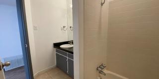 AVAILABLE:  2 BR-1 BA Hyde Park Condo / Laminate Wood Floors / Close to UT and Downtown Gallery 7