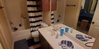 College Station - 3 bedrooms / 3 Baths Townhome in the Barracks! Gallery 22