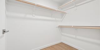 Coro Gallery 10