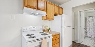 Charlton Terrace Gallery 25