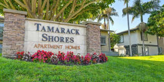 Elan Tamarack Shores Gallery 7