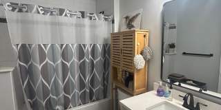 No Broker Fee | Bright 1 Bed in Brighton | Available 9/1 Gallery 6