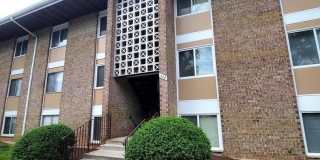 527 WILSON BRIDGE Drive unit: 6719 C1 Gallery 1