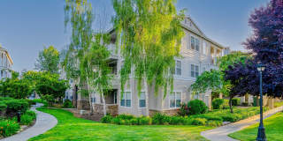 The Estates at Park Place Gallery 1