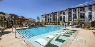 Jasper at Victory Ridge Gallery 23