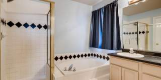 4 Bed 4 Bath Stetson Hills Home! Gallery 7