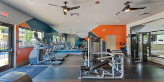 The Artisan Gallery 19