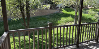 2510 Plumtree Grove - 1 Gallery 17