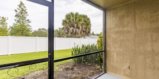 Silver Palms Gallery 16