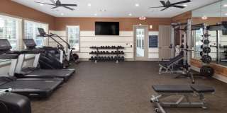 The Mill at White House Gallery 16