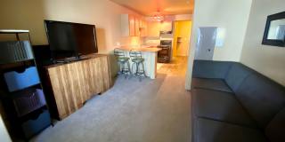 Perfect Furnished Studio with ALL the AMENITIES! Gallery 1
