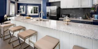 Cavalier @ 100 Gallery 8