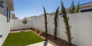 Vello Valley Gallery 16