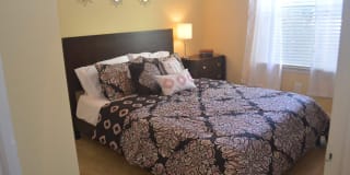 Springs at Palma Sola Gallery 14