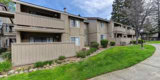 Greenback Gardens Gallery 7