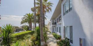 Malibu Cove Apartments Gallery 11