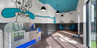 Leksa at Cityplace Gallery 70