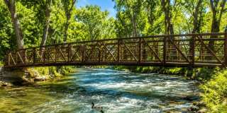 Riverwalk Gallery 3