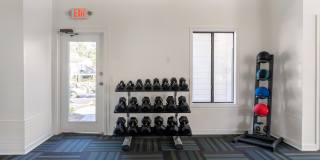 Verde Vue Gallery 11