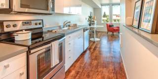 Janus Janus Gallery 3